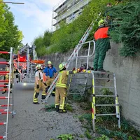 06.jpg