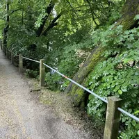 06.jpg